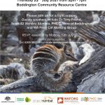 Numbats in the Boddington Neighbourhood