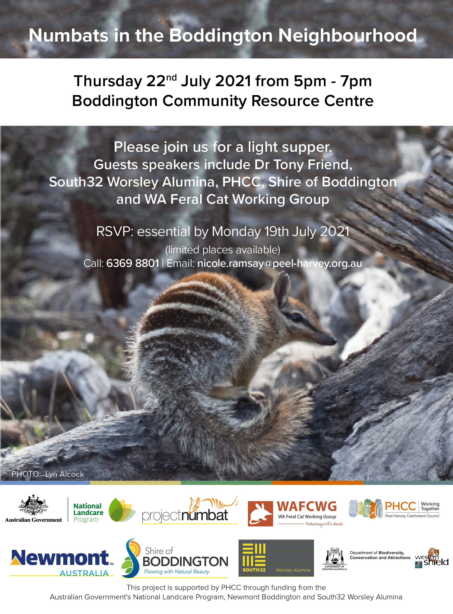 Numbats in the Boddington Neighbourhood