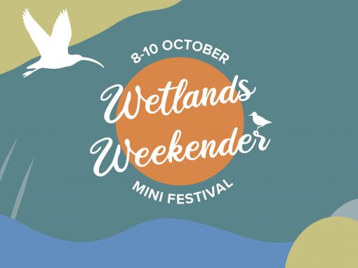 Wetlands Weekender Festival 2021