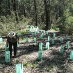 RUOK? Day Planting and Morning Tea