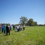 uPtake Pasture walk