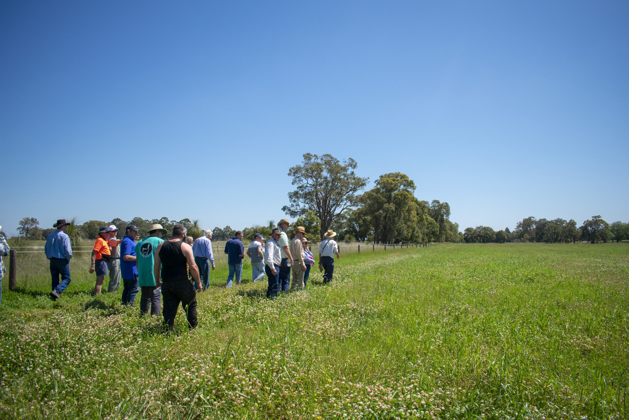 uPtake Pasture walk