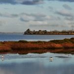 Peel-Harvey Estuary Forum