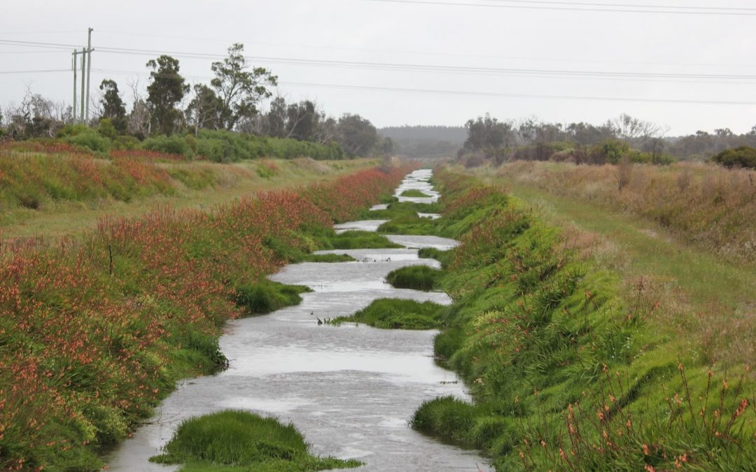 The Harvey River Diversion Drain