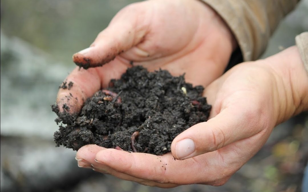 On-Farm Composting