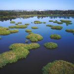 WA Wetlands Conference 2022