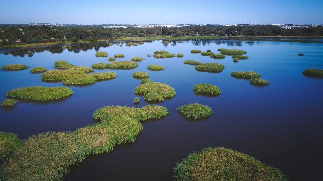 WA Wetlands Conference 2022