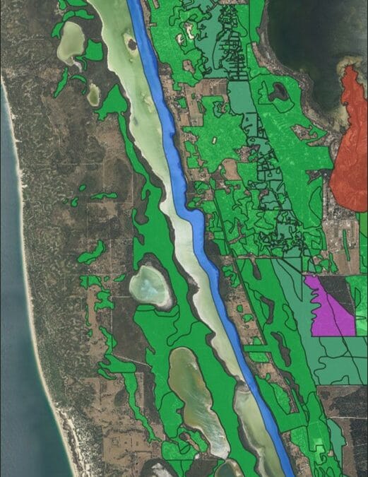 Lake Clifton – a hotspot for TECs