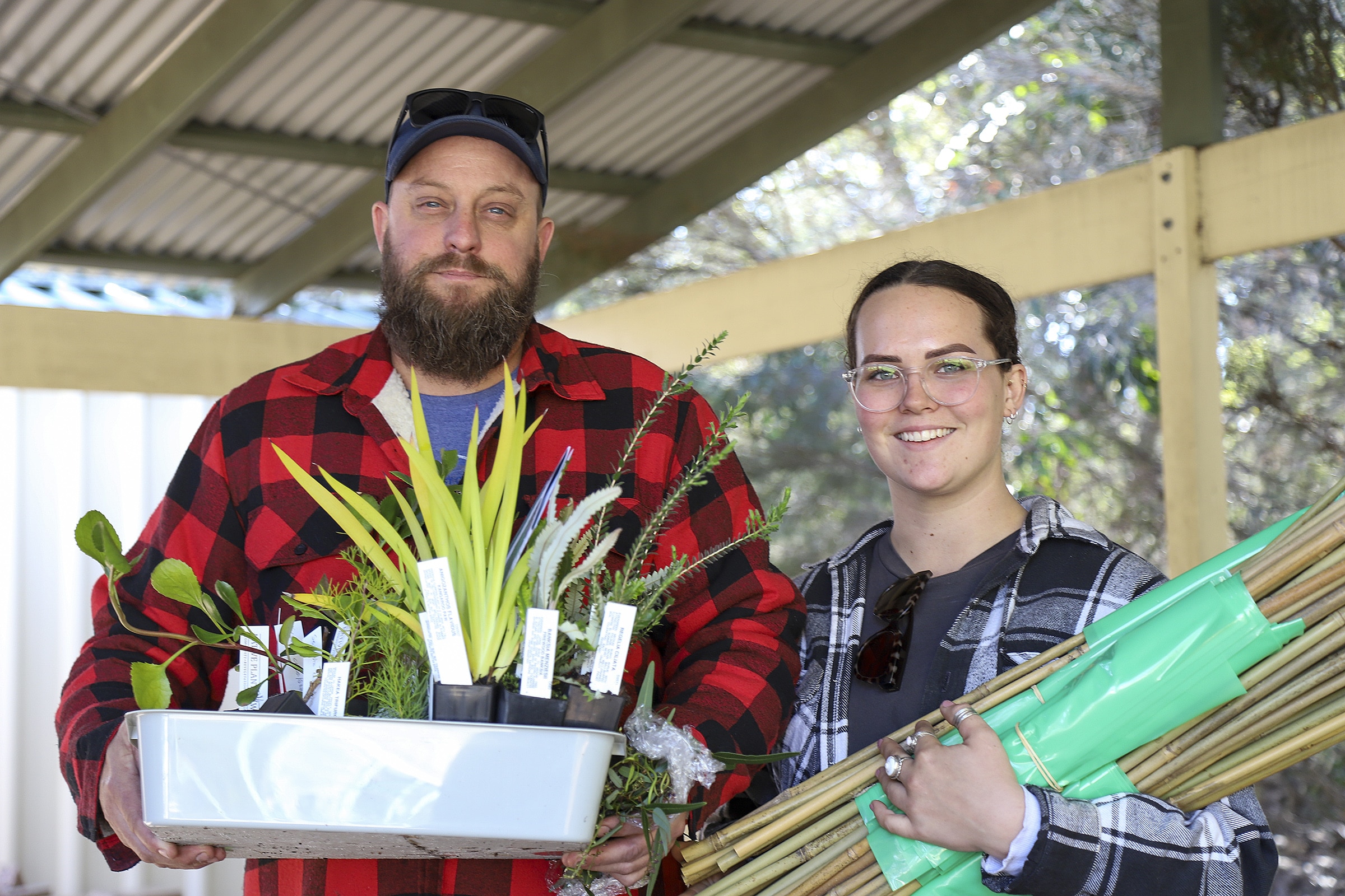 Lake Clifton Seedling Giveaway