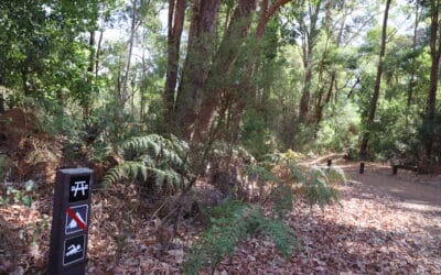 PHCC Submission – Proposed Exploration of Jarrah Forest