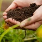 Carbon Farming Virtual Workshop