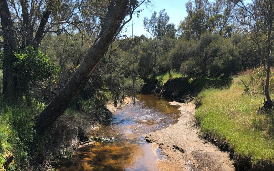 “Wash My Soul in the River’s Flow”