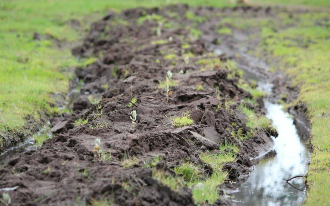 Mounding in waterlogged soils