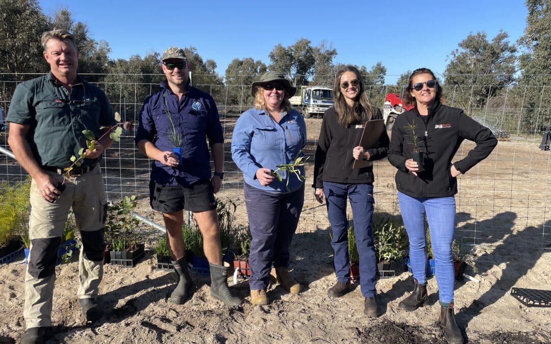 Collaboration is Key to Successful Restoration – Saving our Serpentine River and Banksia Woodlands