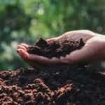 Soil Microscopy Workshop