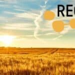 The value of multi-species cover cropping