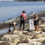 Clean Up Month: Channel Island Reserve; Friends of Rivers, Peel