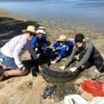 Clean Up Month: Herron Point, Friends of Herron Point