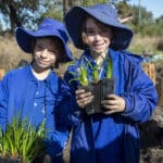 Schools Tree Planting Day