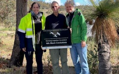Protecting WA Black Cockatoos project wraps up