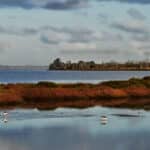 Bindjareb Djilba - Peel-Harvey Estuary Forum