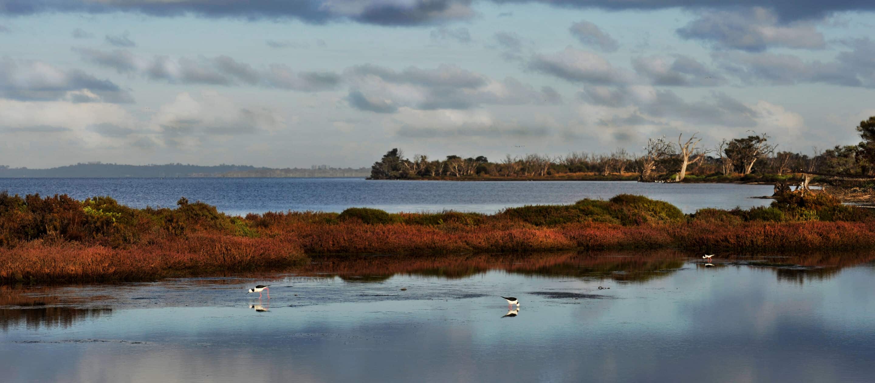 Bindjareb Djilba - Peel-Harvey Estuary Forum