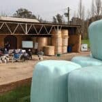 ‘Top fodder’ Workshop