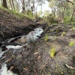 Boosting Biodiversity on Farm Waterways