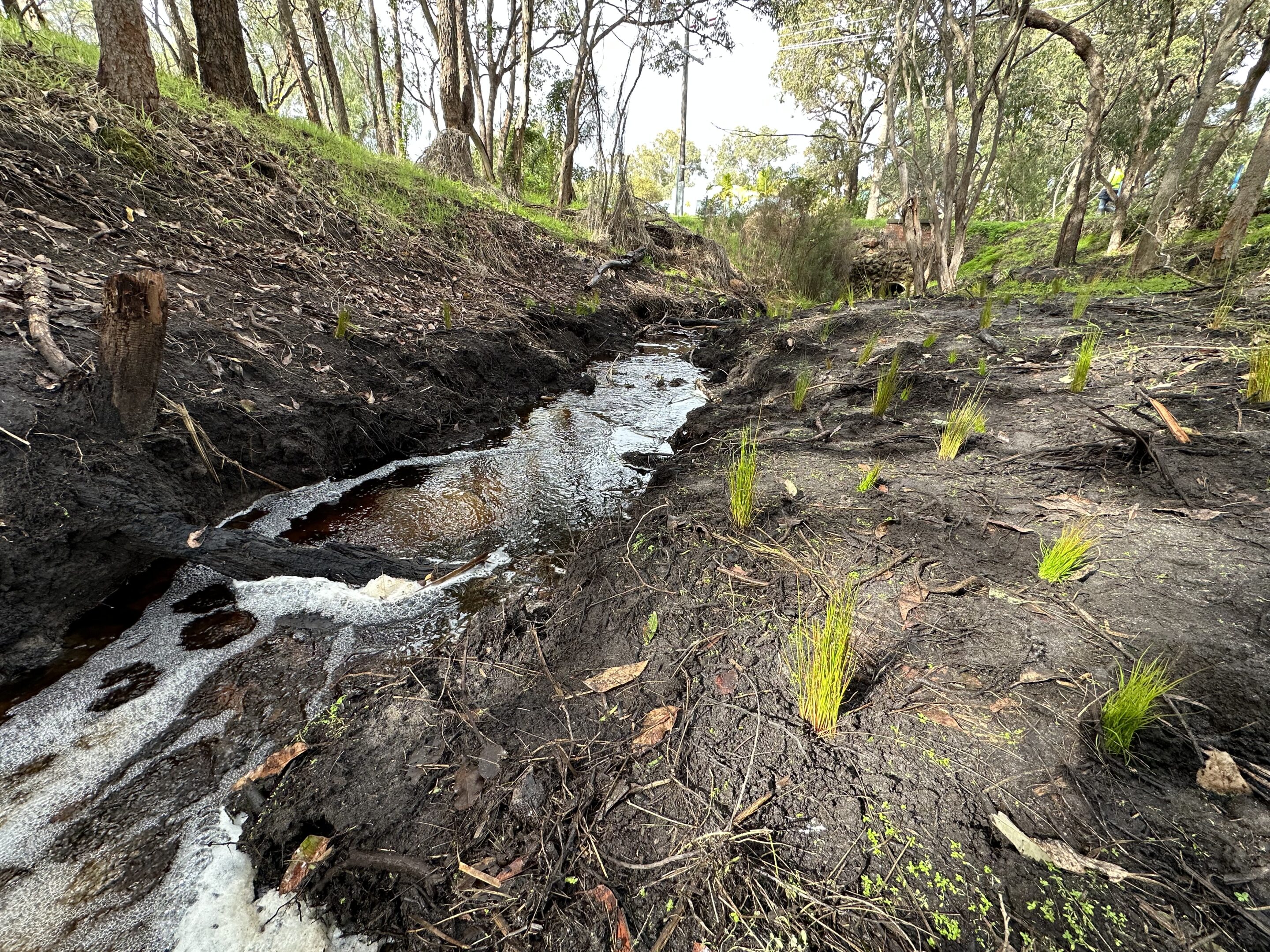 Boosting Biodiversity on Farm Waterways