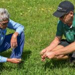 Optimising Plant Nutrition for Growers