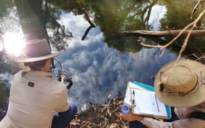 Case Study 50:  Healing Bilya Restoring the Murray and Serpentine Rivers