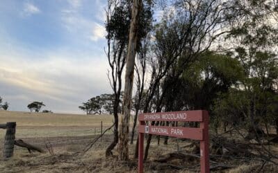 Defending Dryandra – Feral Hotspots Project