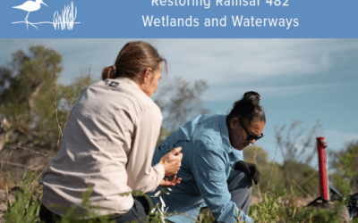 Restoring Ramsar 482 Wetlands and Waterways