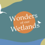 Wonders of our Wetlands Festival - Save The Date!