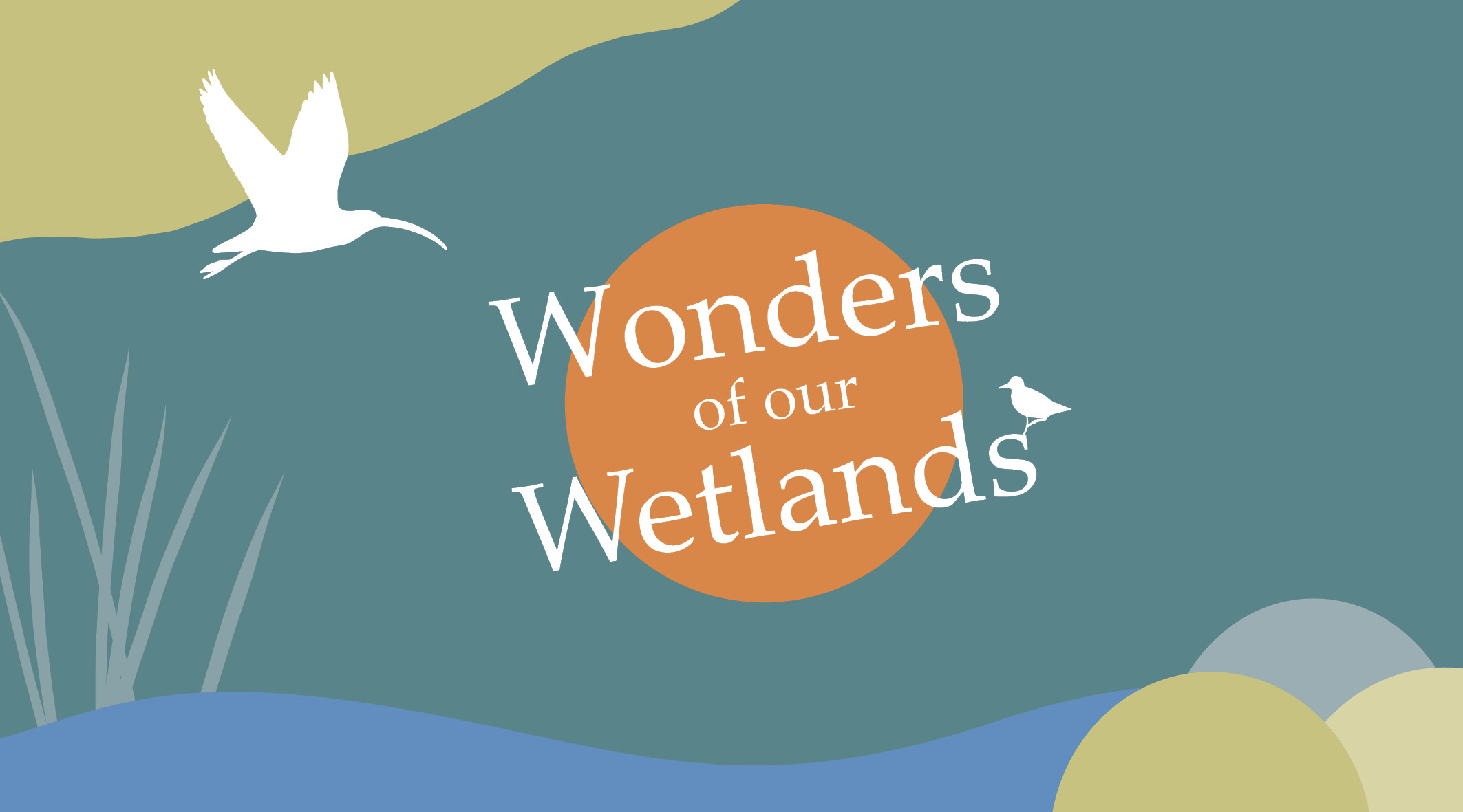 Wonders of our Wetlands Festival - Save The Date!