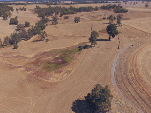 Landscape Rehydration Field Day - East Cuballing