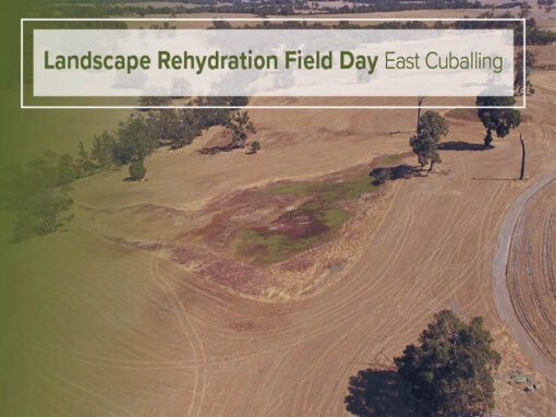 Landscape Rehydration Field Day - East Cuballing