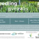 Lake Clifton Seedling Giveaway