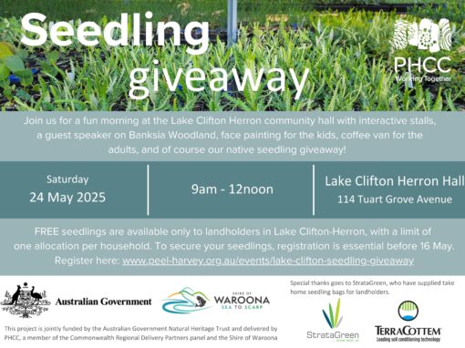 Lake Clifton Seedling Giveaway