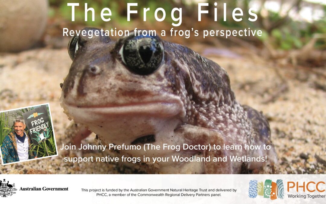 The Frog Files – Revegetation from a frog’s perspective