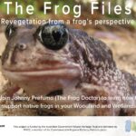 The Frog Files - Revegetation from a frog's perspective