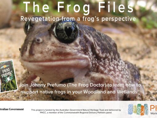 The Frog Files - Revegetation from a frog's perspective