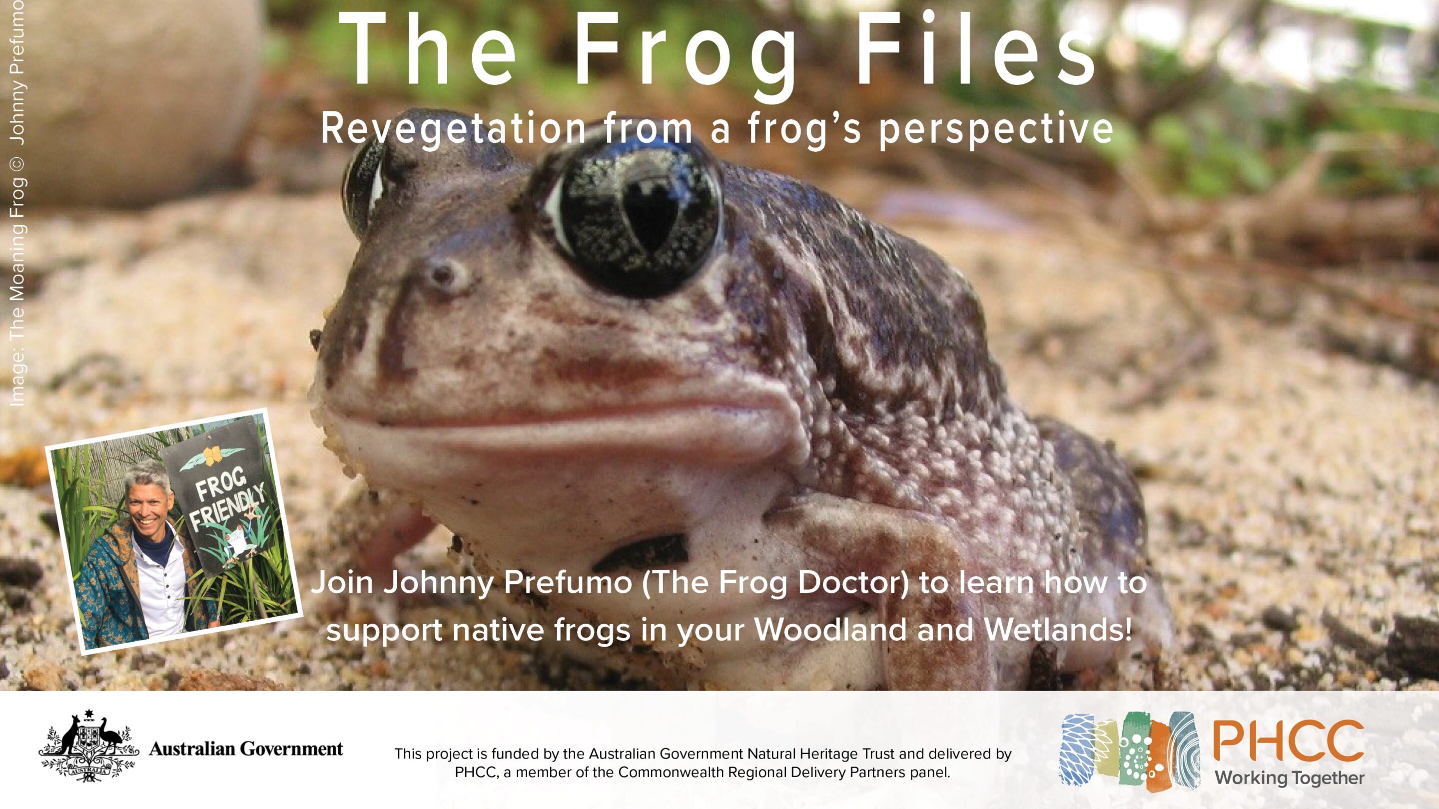 The Frog Files - Revegetation from a frog's perspective