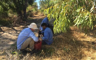 Case Study 47:  Conserving culture and nature, one seed at a time