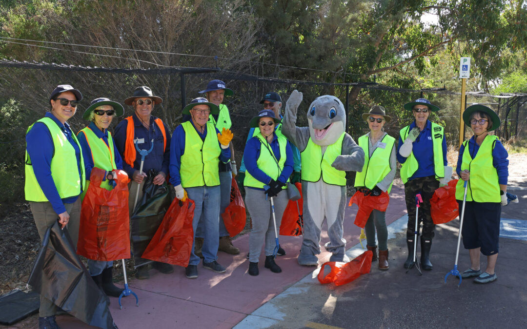 Another Clean Up Month Success – Thankyou to our Community Clean Up Champions!
