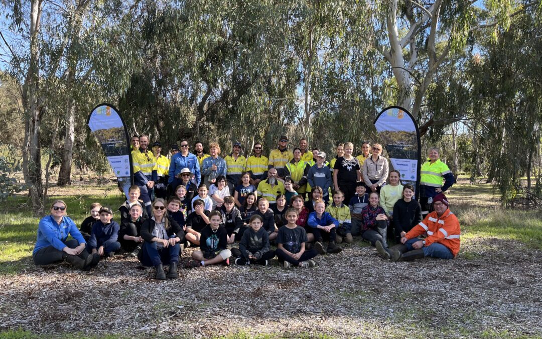 Tunbridge Gully Planting Day