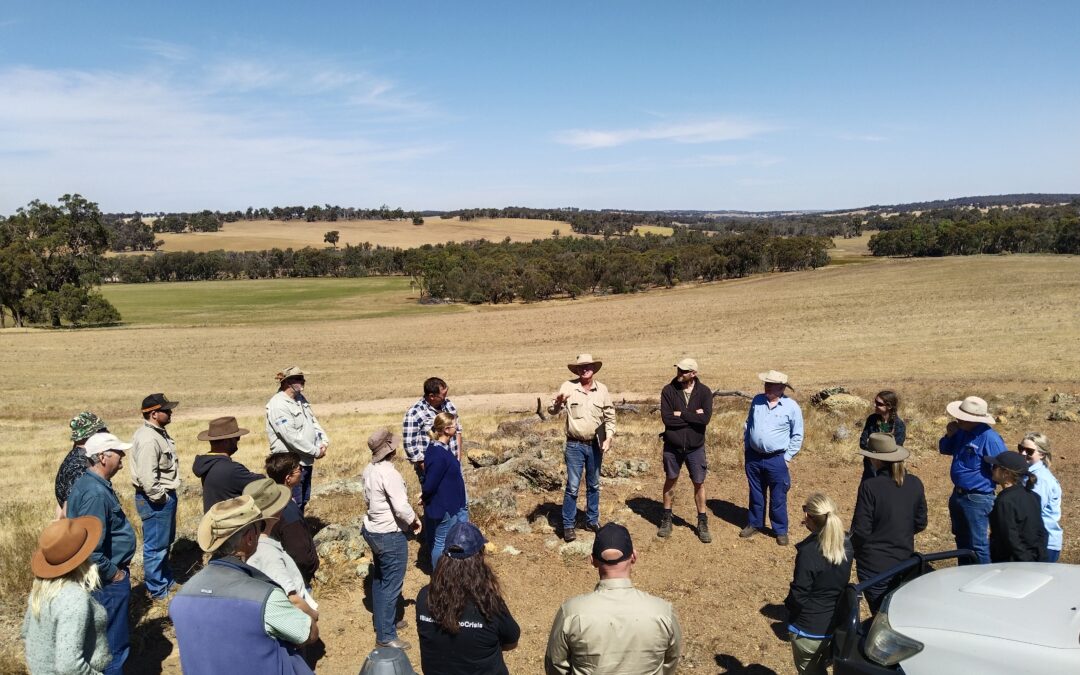 Resilient Farms, Nature & Communities – PHCC Launches 2025–2027 State NRM Community Stewardship Project