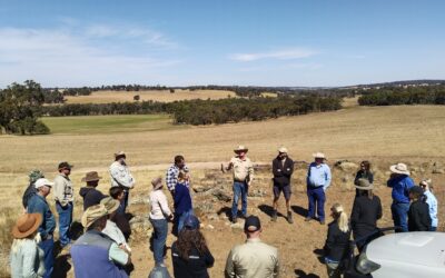 Resilient Farms, Nature & Communities – PHCC Launches 2025–2027 State NRM Community Stewardship Project