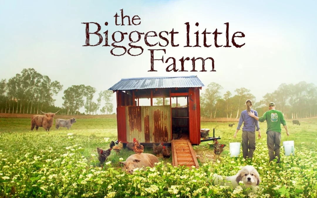 FREE Family Movie Night