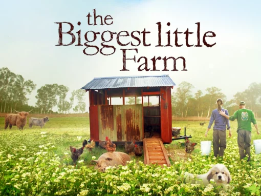 FREE Family Movie Night